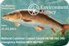 Rod licence logo